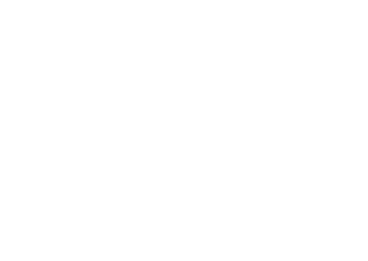 Bram Wood